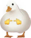 shyduckflipped shyduckflipped