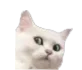 wutcbt
