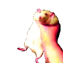 RatAboose
