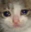 Sad Sad