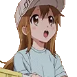 platelet