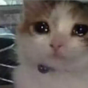 CN_ssd Discord emoji