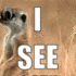 I_see_Sinners