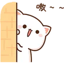 HC_catpeek HC_catpeek