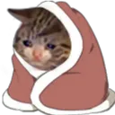 sadcat Discord Emoji