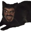 SCagony
