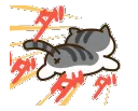 sadcat_run