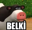 belki Discord emoji