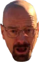 waltshocked