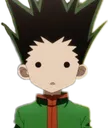 gon_blank