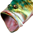 bassPog