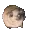 dancingdog