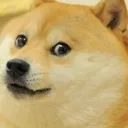 DOGe Discord Emoji