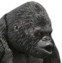 Pog_Kong