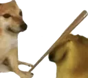 bonk