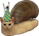 bdaycate
