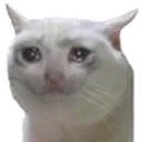 sad