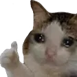 zdrajkitku