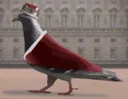 Royalpigeon
