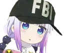 KBR_FBI