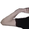 Bakardos3