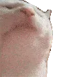 catJAM