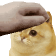 PETTHECATE Discord Emoji