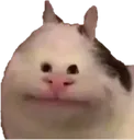 SCpoliteNOT