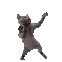 SCdanceblack