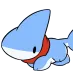 shark_run