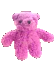 beardance