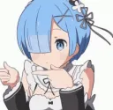 ReZero1