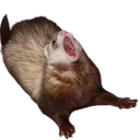 HebutScrem Discord Emoji