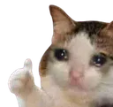 cattocri