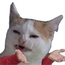 catwhat Discord emoji