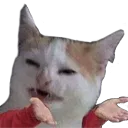 Catwhat catwhat Discord Emoji