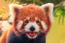 smileyboi