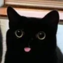 mlem