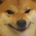 bhob