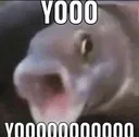 YOOOOOOOOOOO