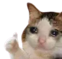 sadcat Discord Emoji