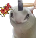 Bonkcat