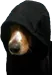 darthdoge