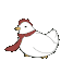 Cock