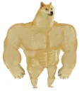 SwoleDoge