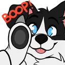 brendanboop