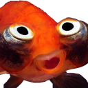 :hinaIRL:
