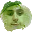 dave18Cabbage