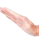 pat
