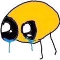 cryingshaking